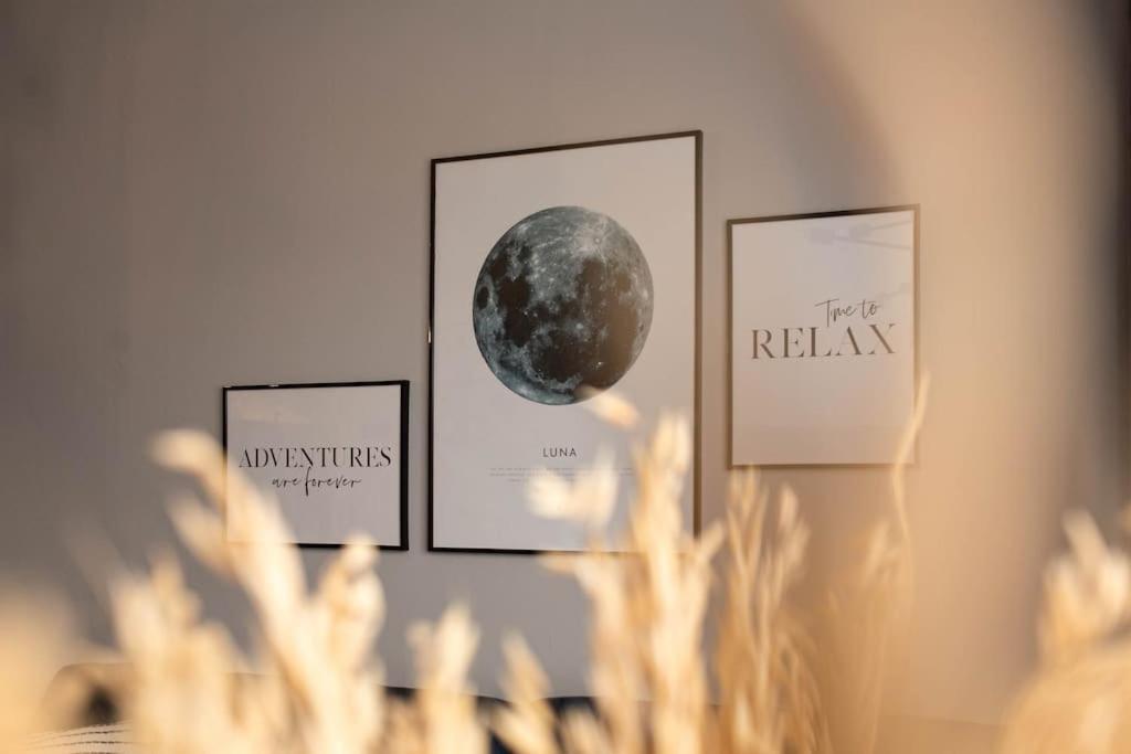 Blue Moon. Cozy Apartment Near Iulius Mall Cluj-Napoca Exteriör bild