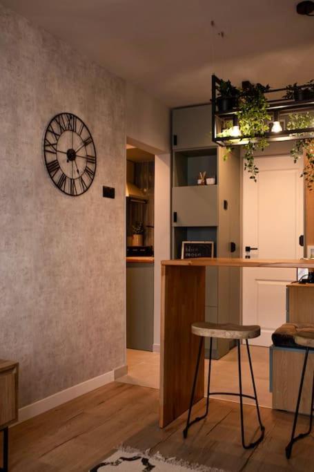 Blue Moon. Cozy Apartment Near Iulius Mall Cluj-Napoca Exteriör bild